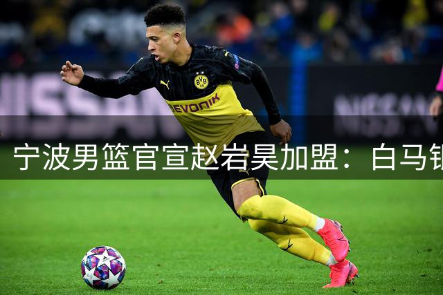 宁波男篮官宣赵岩昊加盟：白马银枪 赵岩昊岩续新章！