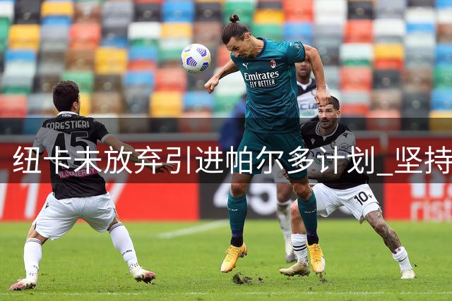 纽卡未放弃引进帕尔多计划 坚持财政健康运作原则
