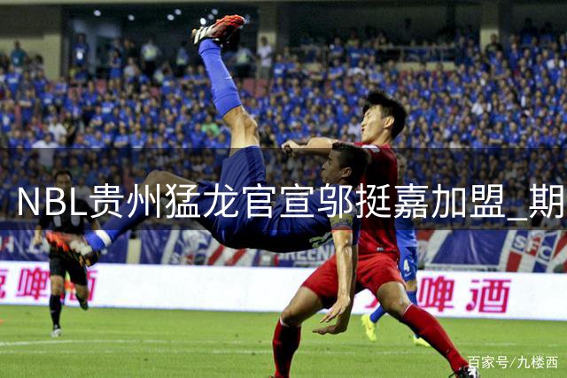NBL贵州猛龙官宣邬挺嘉加盟 期待他新赛季下起三分雨